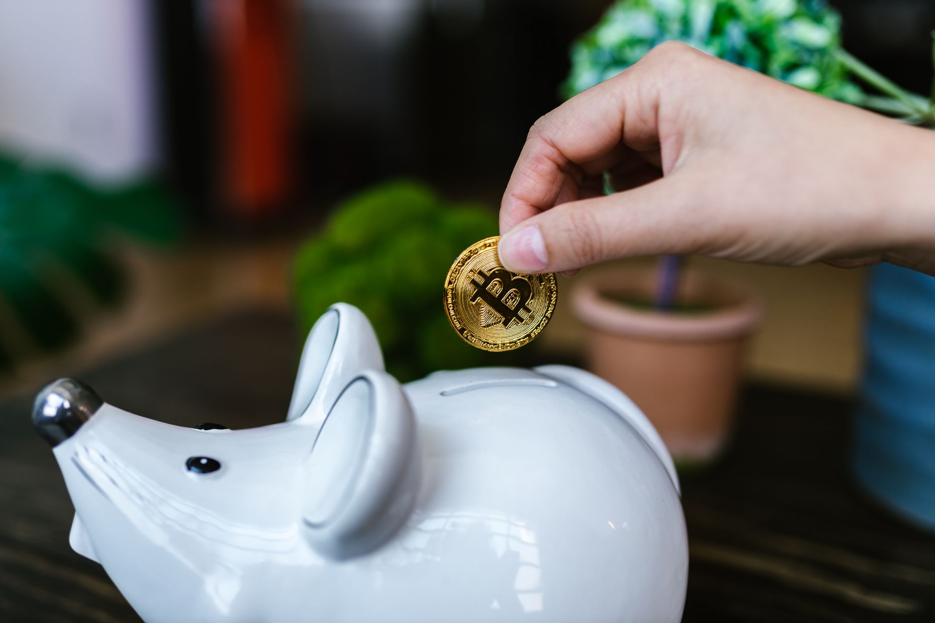Maximize Suas Economias na Shein